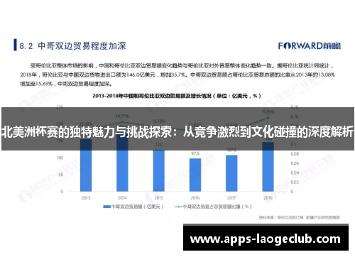北美洲杯赛的独特魅力与挑战探索：从竞争激烈到文化碰撞的深度解析