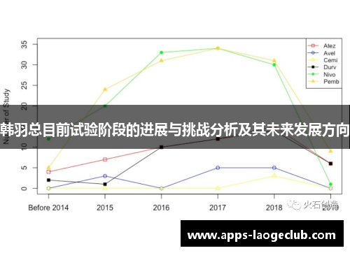 韩羽总目前试验阶段的进展与挑战分析及其未来发展方向