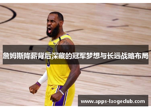 詹姆斯降薪背后深藏的冠军梦想与长远战略布局
