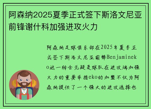 阿森纳2025夏季正式签下斯洛文尼亚前锋谢什科加强进攻火力